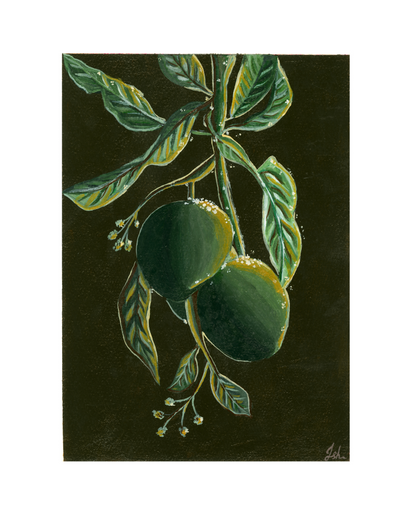 Art Print | Among the Mangoes