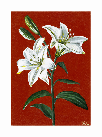 Art Print | My Mum's White Lilies